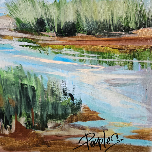 Marshland by Nicki Peeples